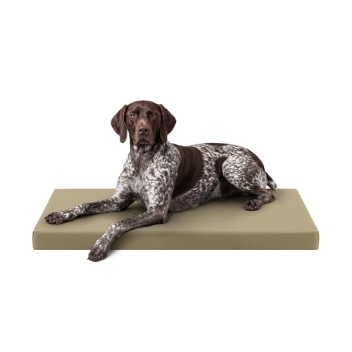 Tough Ripstop Orthopedic Crate Bed (Large (41" L x27" W x 3" H) / Sage Green)