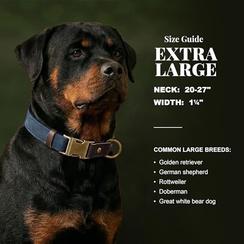 PU Leather Dog Collar for Large Dogs (Blue / XL: Neck 20-27", Width 1¼")