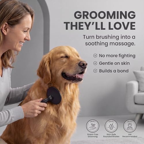 Round Bristle Pet Brush for Dogs and Cats (Black)