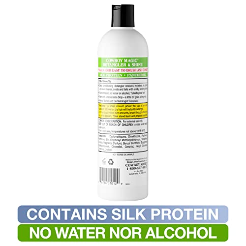 Detangler & Shine 16 Ounce (16 Fl Oz (Pack of 1))