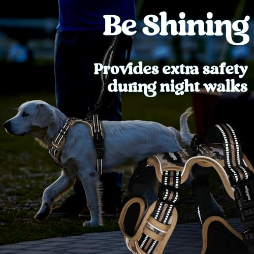 Dog Harness for Large (Desert Ridge / Large)