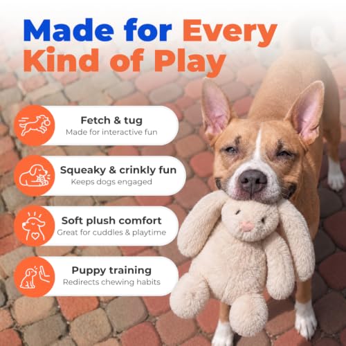 Bunny Buddy Squeaky Plush Dog Toy (Bunny (Beige) / Large)