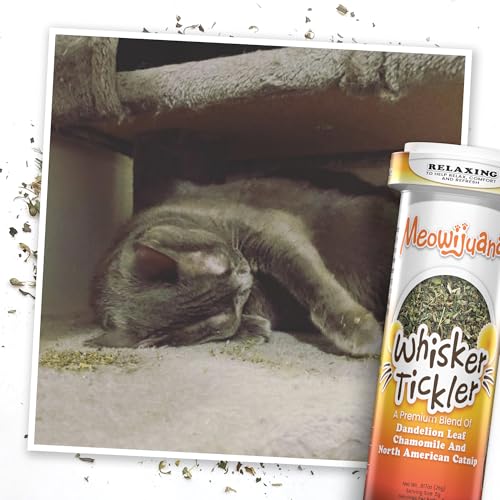 Purr Effect Trio Pack