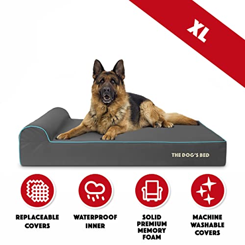 The Dog’s Bed Orthopedic Memory Foam Dog Bed with Headrest XL 6 (Grey with Blue Trim / XL (46"L x 28"W x 6"Th))