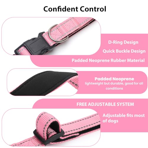 Reflective Dog Collar (Pink / M:width 3/4"neck 14-20.5")