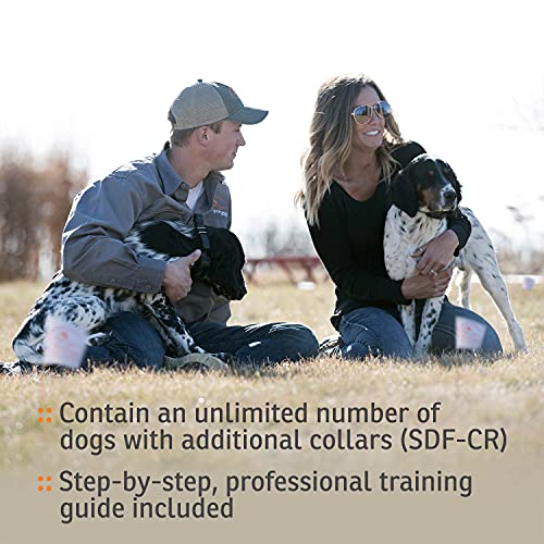 Brand Rechargeable In (2 Dog System)
