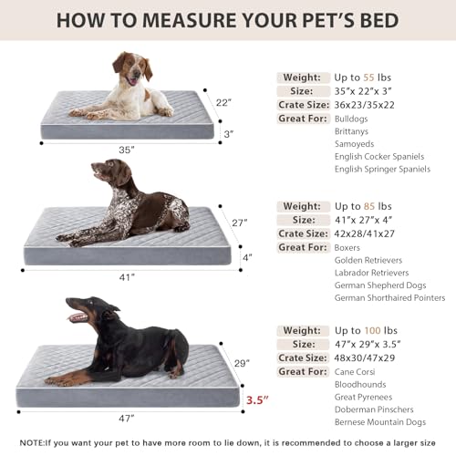 Orthopedic XXL Dog Beds for Large Senior Dog Bed Comfy Sleeping (Light Grey / 47"L x 29"W x 3.5"Th)