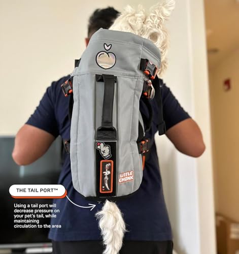 Maxine One Dog Backpack Carrier for Medium Dogs (Gray)