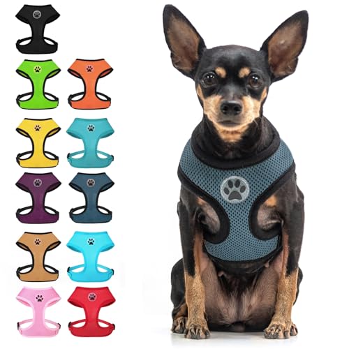 Small Dog Harness (XS (NECK: 10", CHEST: 10"-14") / Navy Blue)