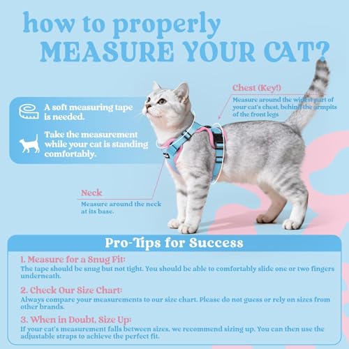 Cat Harness and Leash Set (Xxs / Light Blue & Pink)