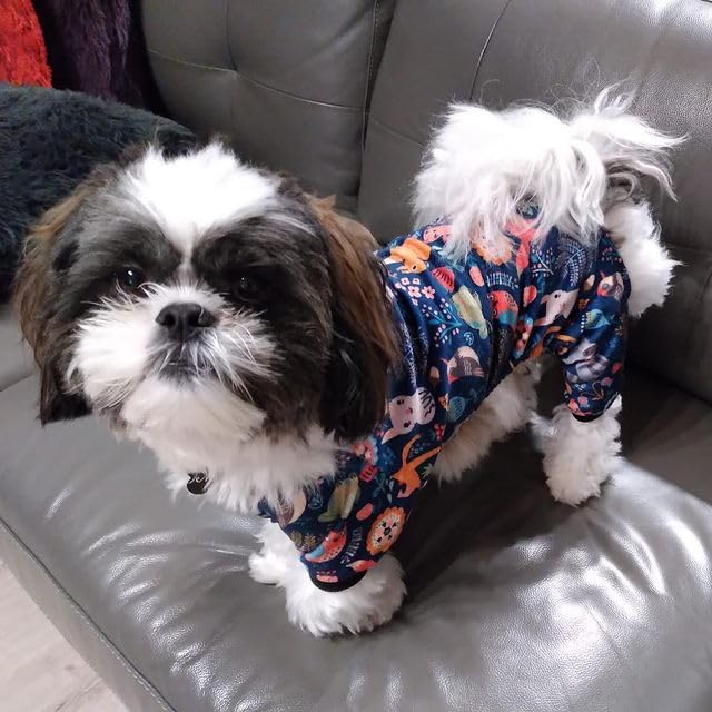 Small Dogs Outfit Soft Puppy Onesies Pjs Dog Pajamas Pet Coat Cat Apparel Comfy Doggie Jumpsuit Bodysuit for All Seasons P75L (A06-Forest family / Large)