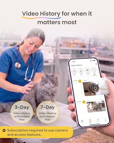 360° Cat Camera [Paid Plan Required to Activate] (360° Cat Camera / Subscription Required to Activate)