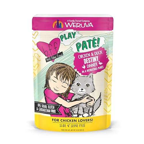 B.F.F. Play Best Feline Friend Paté Lovers (3 Ounce (Pack of 12))