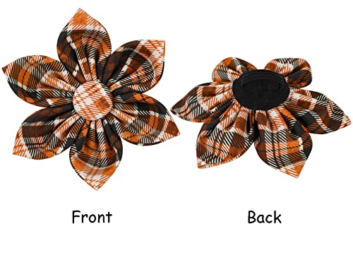Dog Collar with Flower (B:O&B Grid / Large (Pack of 1))
