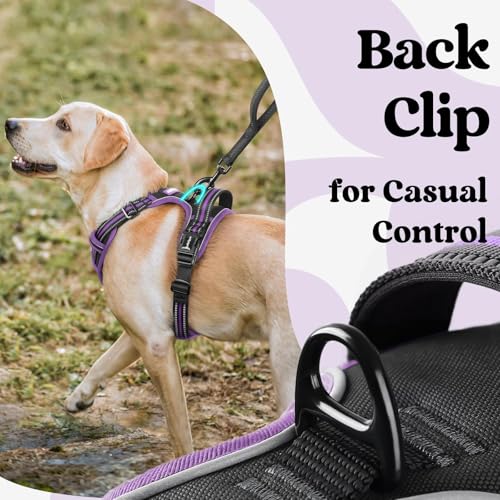Dog Harness for Large (Black & Purple / Large)
