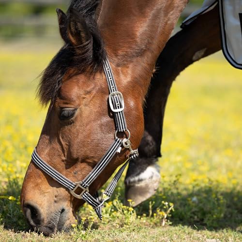 Adepto Adjustable Horse Halter (Dark Navy / Pony)