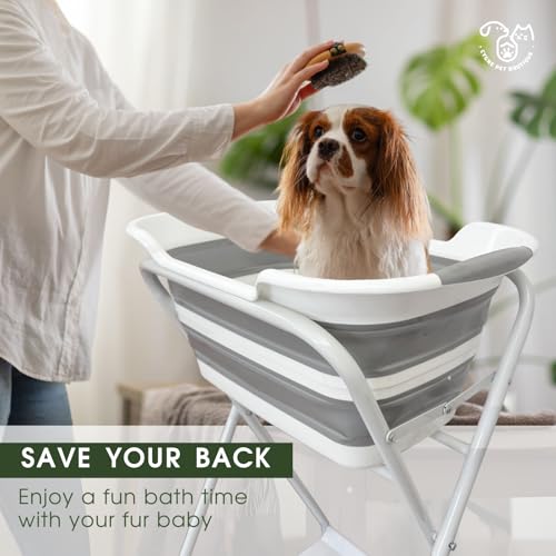 2-in-1 Dog Bathtub & Washing Station, Elevated Collapsible Bathtub with Drainhole & Storage Rack, Foldable Portable Indoor/Outdoor Pet Bathing & Grooming for Small Dogs Cats (Bathtub w Station)
