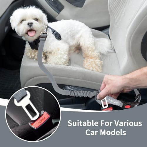 2 Pack Dog Seat Belt for Car (Grey)