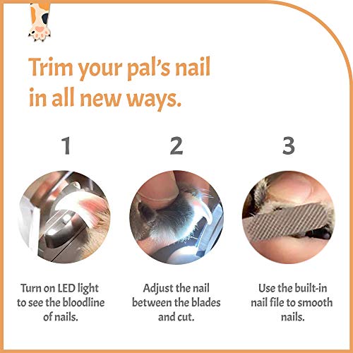 Reinvented Pet Nail Clippers for Your Pal (Small&Medium / Aqua)