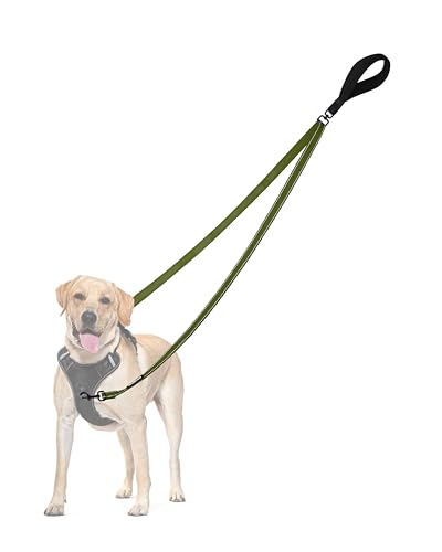 Two Point Control Dog Leash (Khaki Green)