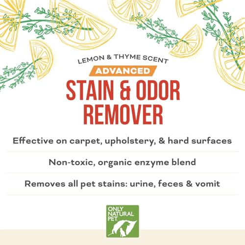 Advanced Stain & Odor Eliminator (32oz (Pack of 1))