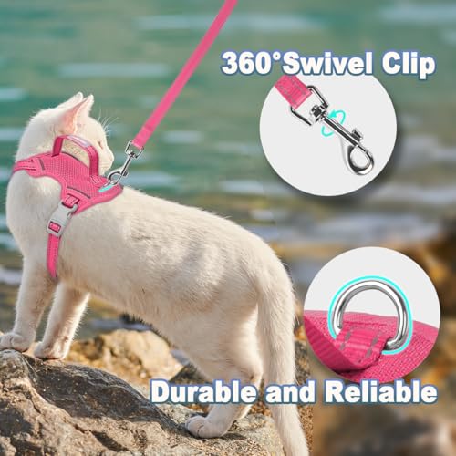 Cat Harness and Leash Set Escape Proof for Kitten Walking (Medium / Pink)