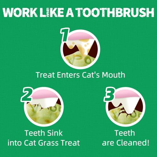 13.4 OZ Crunchy Cat Treats Catnip Treats for Cats with Digestive Support