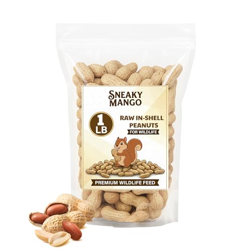 Raw Peanuts in Shell (1 Pound (Pack of 1))
