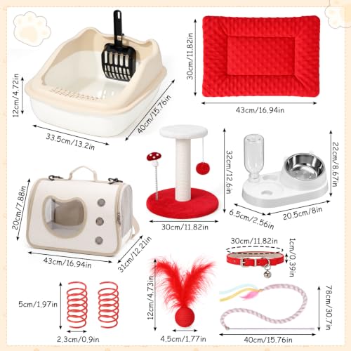10 Pcs Kitten Starter Kit for Indoor (Classic / Small / Red)