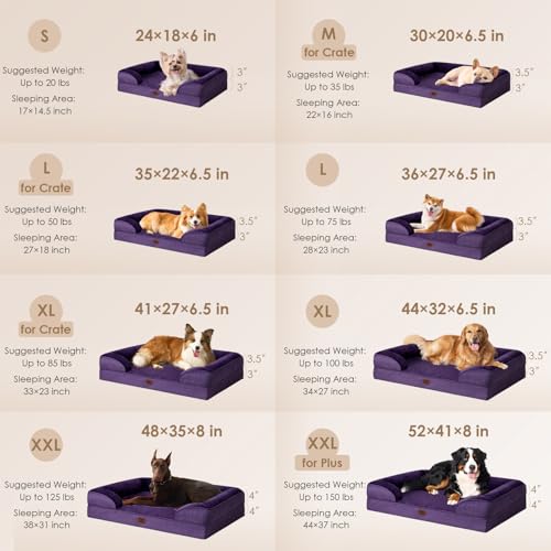 Orthopedic Small Dog Bed (Purple / 24.0"l X 18.0"w X 6.0"th)