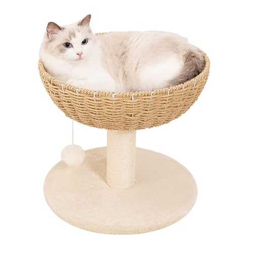 Small Cat Tree with 17.5 (4)