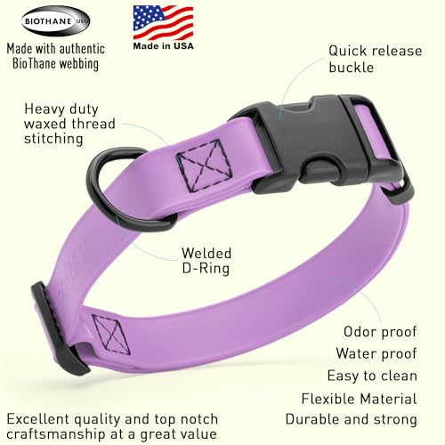 Biothane Waterproof Dog Collar with Quick Release Buckle Strong Coated Nylon Webbing with Odor (3/4"W by 12-19"L / Amethyst Purple)