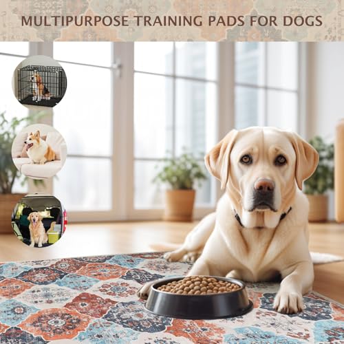 Washable Pee Pads for Dogs (24x18 Inch (Pack of 2) / 01-orange-multi)