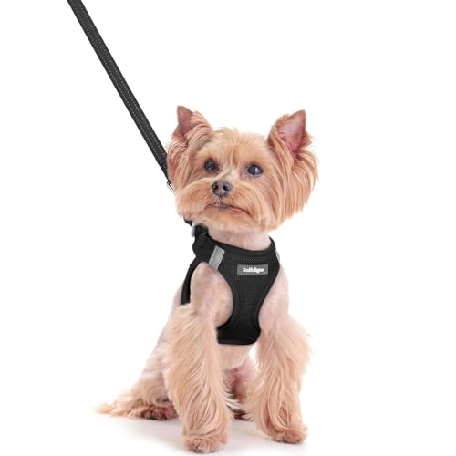Dog Harness Small Sized and Leash Set (Black / Xxs (chest: 12.4 - 14.2"))