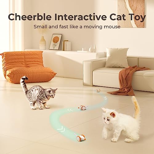 Interactive Cat Toys for Indoor Cats (Yellow)