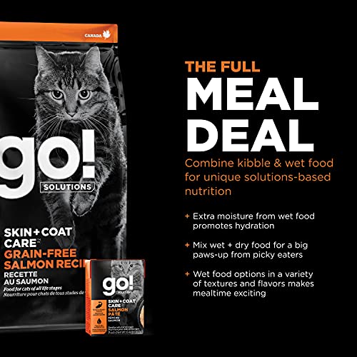 Skin + Coat Care Salmon Grain (8 Pound (Pack of 1))