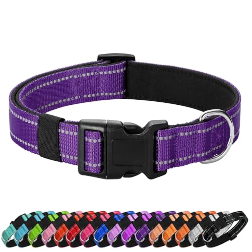 Reflective Dog Collar (Purple / M:width 3/4"neck 14-20.5")
