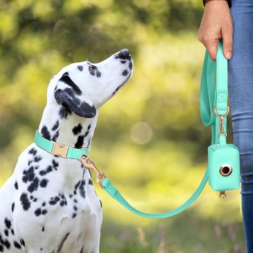 Soft PU Leather Dog Collar (M: Fit 13-19" Neck(20-55 lbs) / Mint Green)