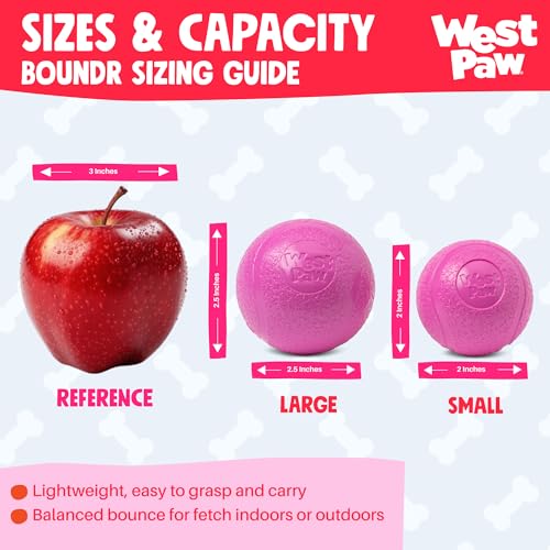 Boundr Ball Dog Fetch Toy (Small (Pack of 2) / Hot Pink/Glow)