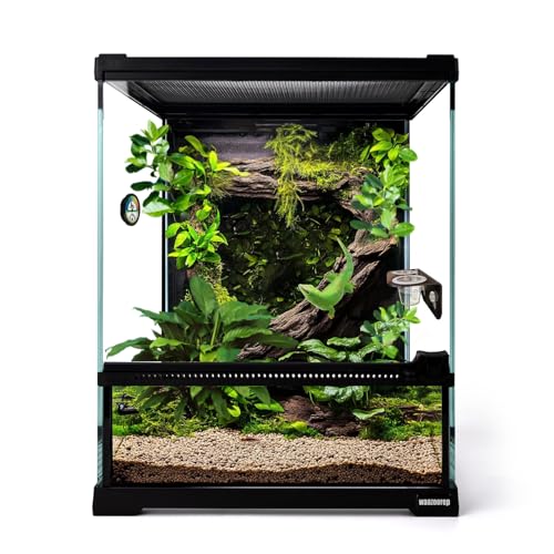 Mini Reptile Glass Terrarium Tank 8"*8"*10" Full View with Front Opening Door (8x8x10 inch)
