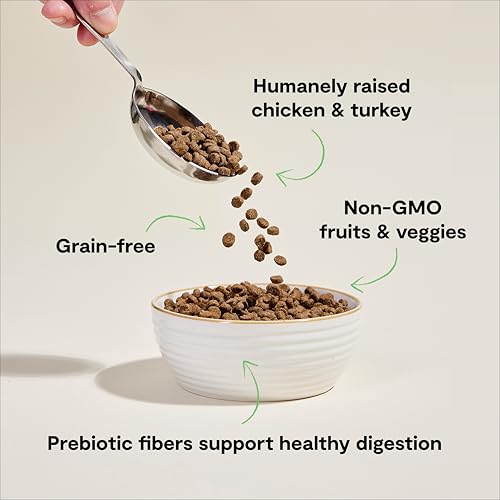 Grain Free Dry Cat Food (4 Pound (Pack of 1))