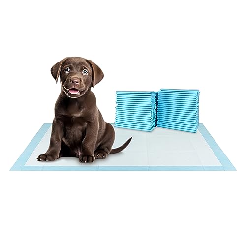 XXL Puppy Pads 20 Count 36" x 30" (XXL / 20-Count (Standard))