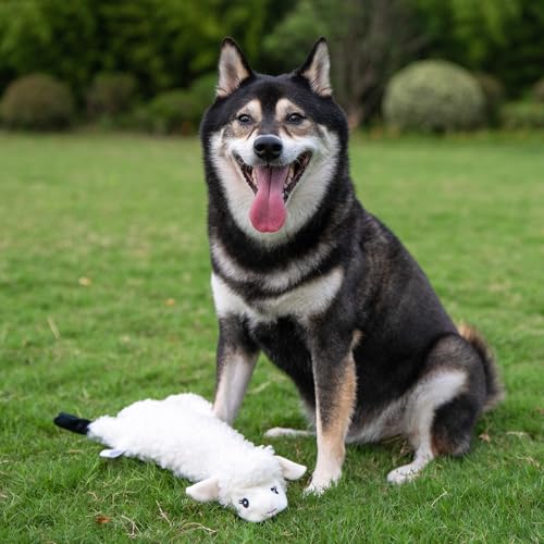 2-in-1 Stuffless Squeaky Dog Toy - Sheep, Small (Sheep / Small)