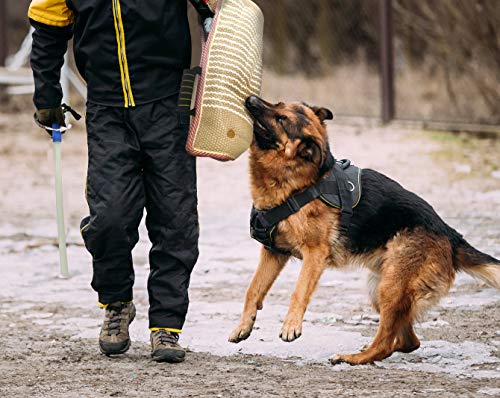 Dog Bite Training Set Professional Dog Bite Sleeve Arm with Whip Agitation Stick for Dogs Training Equipment Protection for Biting Playing Tugging Toy Interactive Pitbull German Shepherd Puppy K9 (Red)