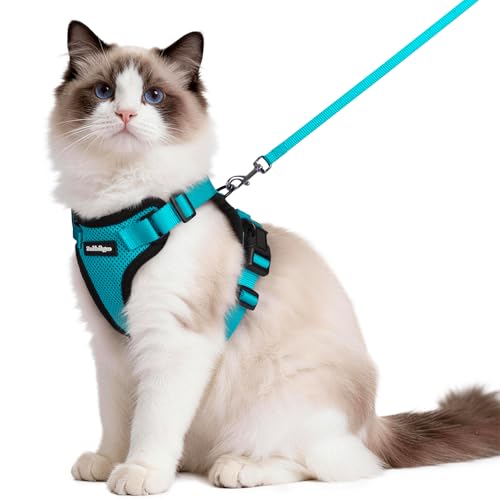 Cat Harness and Leash Set (M / Teal)