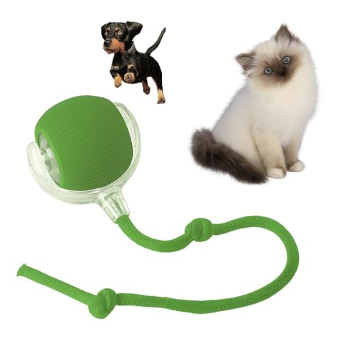 Indoor Cat Interactive Toy 360 (Green)