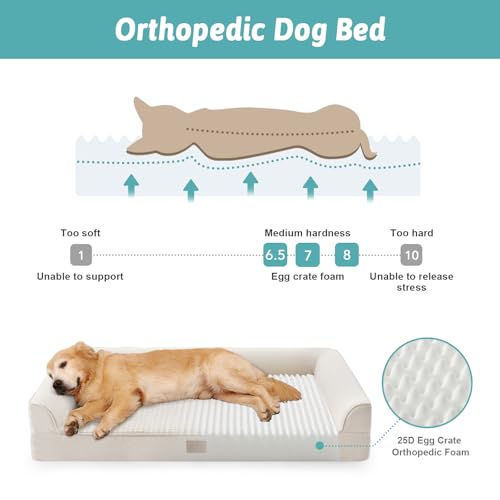 Orthopedic Dog Bed for Extra Large Dogs (Beige / XL:44x32x7 inch)