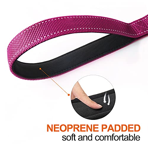 5FT 1IN Heavy Duty Dog Leash for Large Dogs with 2 Padded Handles (Rose / 1 in x 5 ft)