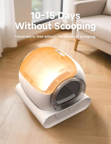 Self Cleaning Litter Box