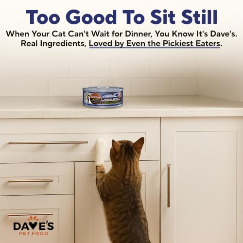 Grain Free Wet Cat Food (5.5 Ounce (Pack of 24))